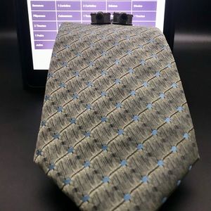 Campaigna Della Seta Mens Tie